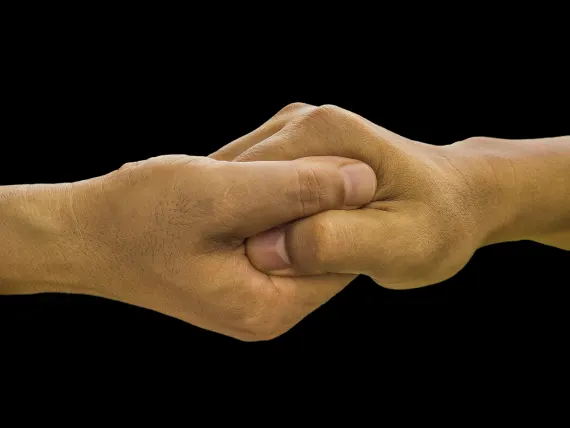 BlueFox Kazino Pagalba